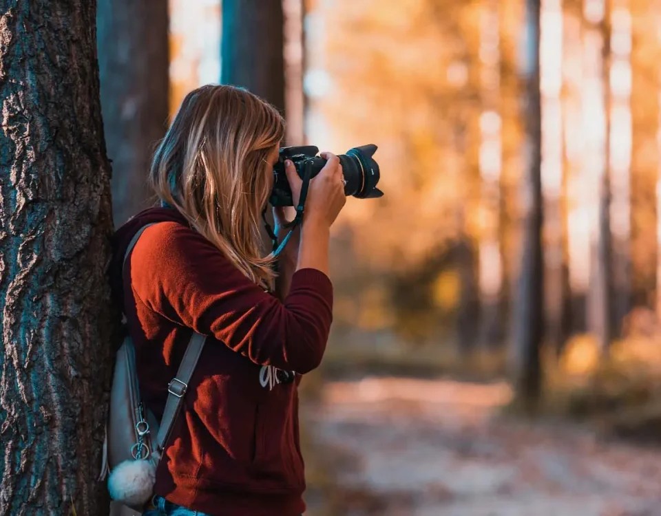 Auf der Suche nach dem richtigen Design